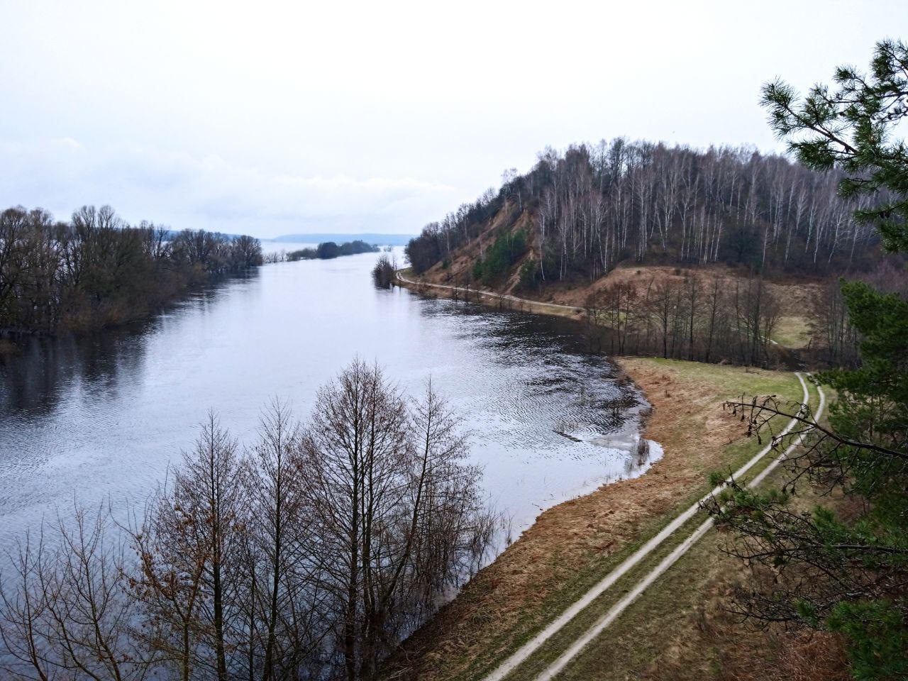 Лише раз на рік. Де побачити найкрасивіший розлив Десни навесні: путівник